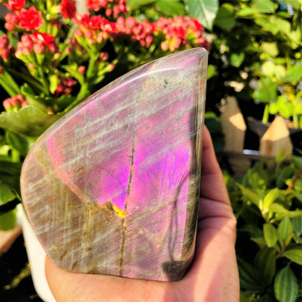 Μοναδικά Δείγματα