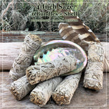 Smudge Kit: White Sage (4-tums) + Abalone Shell