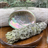 Smudge Kit: White Sage (6-tums) + Abalone Shell