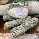 Smudge Kit: White Sage (6-tums) + Abalone Shell