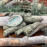 Smudge Kit: White Sage (6-tums) + Abalone Shell