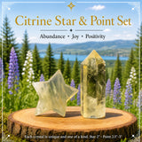 Lapis Lazuli Palmstone