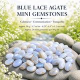 Blue Lace Agate Mini Ädelstenar (50 gram / 1,7 oz. Lot)