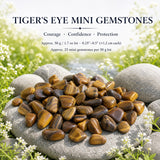 Tiger's Eye mini ädelstenar (50 gram / 1,7 oz. lot)