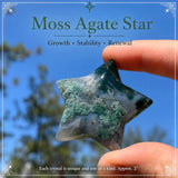Lapis Lazuli Palmstone