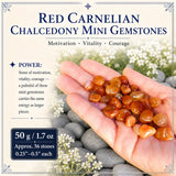Röd karneol Kalcedon mini ädelstenar (50 gram / 1,7 oz. lot)