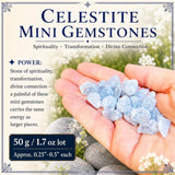 Celestite Mini gimsteinar (50 grömm / 1,7 oz lota)