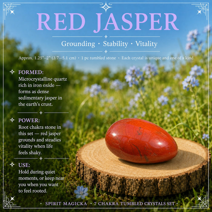 A glossy brick-red jasper tumbled stone on a wood slice in a meadow