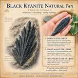 Svart Kyanite Natural Fläkt