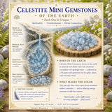 Celestite Mini gimsteinar (50 grömm / 1,7 oz lota)