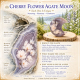 Red Jaspis Crescent Moonstones
