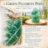 $6 TODAY ONLY - Green Fluorite Point