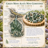 Green Moss Agate Mini gimsteinar (50 grömm / 1,7 oz. Lot)