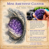Lítill Amethyst þyrping