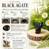 Crystal Animal Spirit Totems: Black Protection Agate Gargoyle