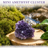 Crystal Sampler Bundle No.5