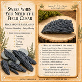 Svart Kyanite Natural Fläkt