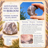 Red Jaspis Crescent Moonstones