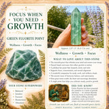 $6 TODAY ONLY - Green Fluorite Point