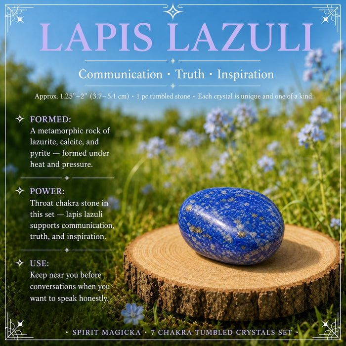 A deep blue lapis lazuli tumbled stone flecked with white, on a wood slice in a meadow