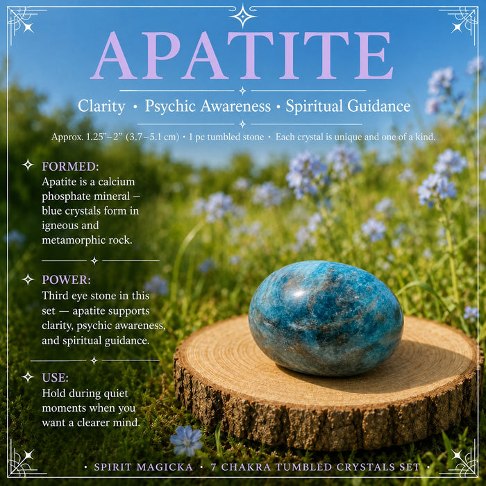 A bright blue apatite tumbled stone on a wood slice in a meadow