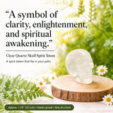 Crystal Sampler Bundle No.9