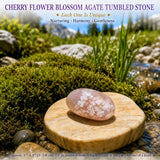 Crystal Sampler Bundle No.3