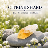 Crystal Sampler Bundle No.1