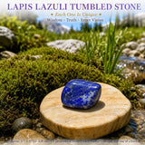 Crystal Sampler Bundle No.7