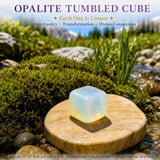 Crystal Sampler Bundle No.5
