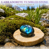 Crystal Sampler Bundle No.5