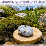Crystal Sampler Bundle No.7