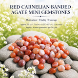 Crystal Sampler Bundle No.2