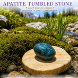 Crystal Sampler Bundle No.5