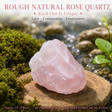 Crystal Sampler Bundle No.7