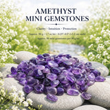 Crystal Sampler Bundle No.5