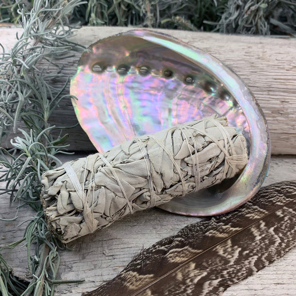Smudge Kit: White Sage (4-ιντσών) + Abalone Shell