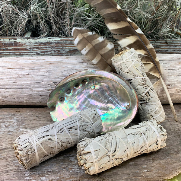 Smudge Kit: White Sage (4-ιντσών) + Abalone Shell