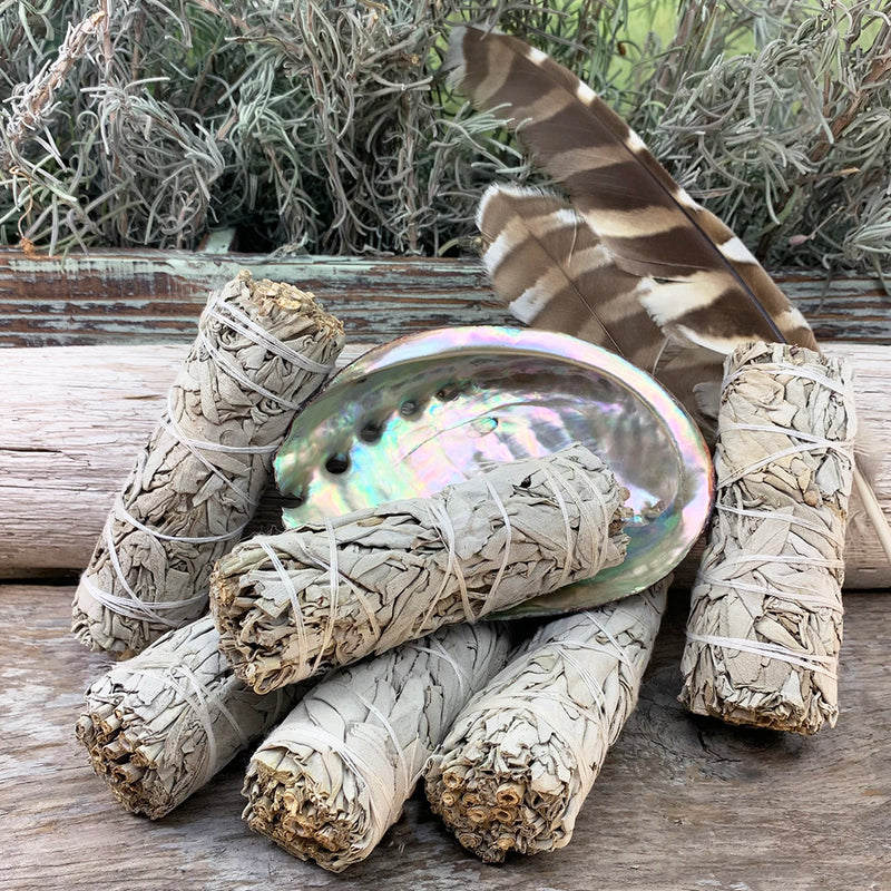 Smudge Kit: White Sage (4-tums) + Abalone Shell