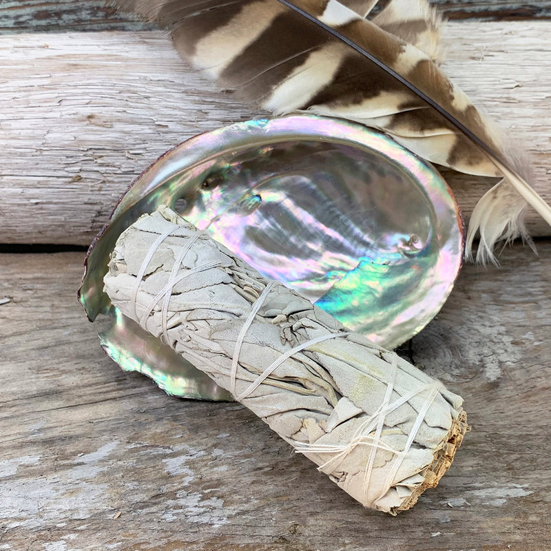 Smudge Kit: White Sage (4-ιντσών) + Abalone Shell