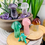 5-Piece Gemstone Mushrooms Kit - collection