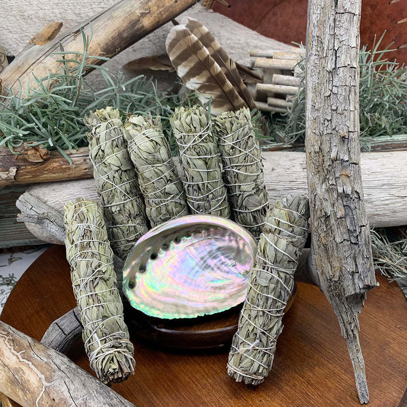 Smudge Kit: White Sage (6-ιντσών) + Abalone Shell