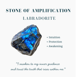 Amethyst Sacred Geometry Faceted Crystal