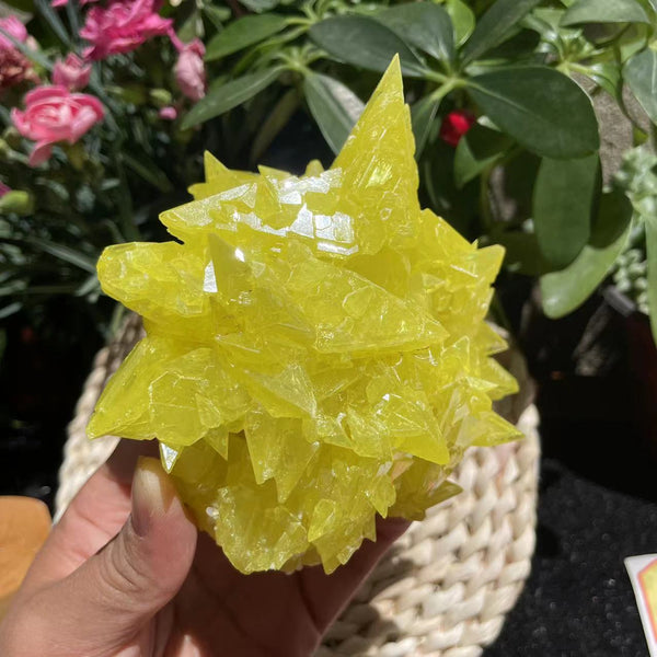 Sulphur Crystal (410 grams)  (Item #1035)