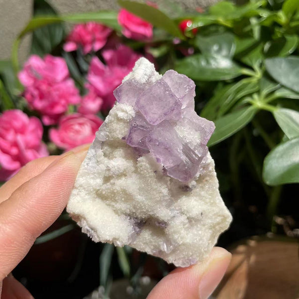 Natural Purple Fluorite Cluster (90grams)  (Item #1030)