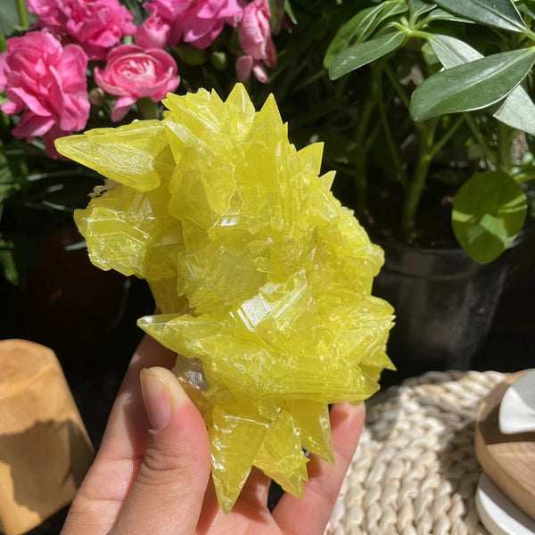 Sulfur Crystal (340 grams)  (Item #1024)