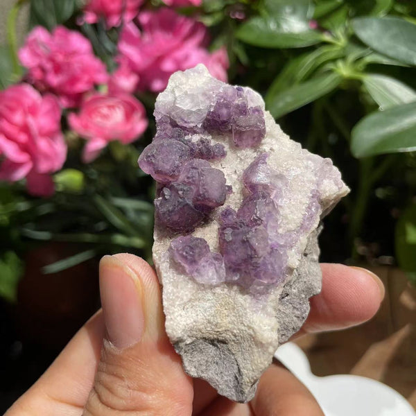 Natural Purple Fluorite Cluster (60grams)  (Item #1029)