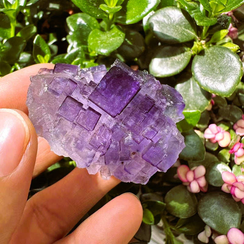 Large (1,19 lbs.) Purple Flash Labradorite Freeform (Artikel #0077)