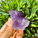 Large (1,19 lbs.) Purple Flash Labradorite Freeform (Artikel #0077)