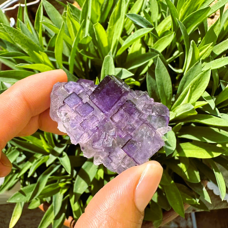 Large (1,19 lbs.) Purple Flash Labradorite Freeform (Artikel #0077)
